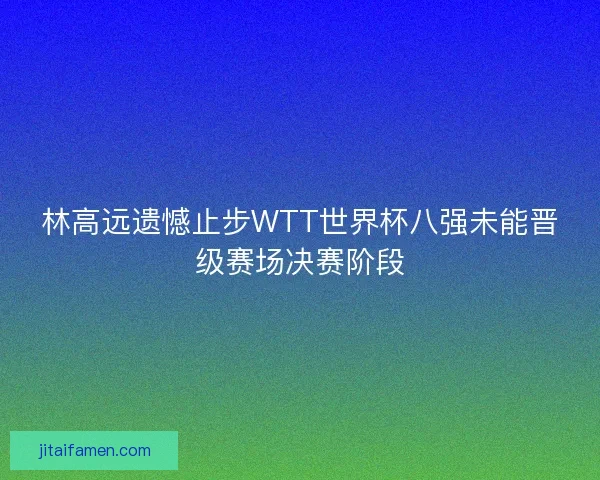 林高远遗憾止步WTT世界杯八强未能晋级赛场决赛阶段